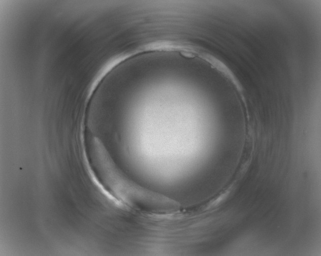 X0000082930855200702011238