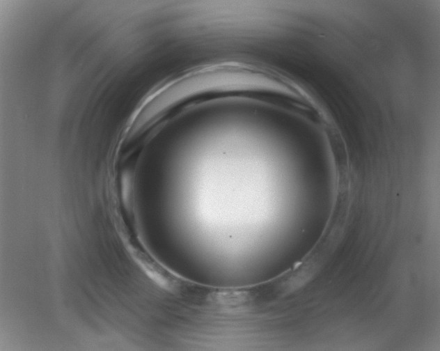 X0000082930858200702011238