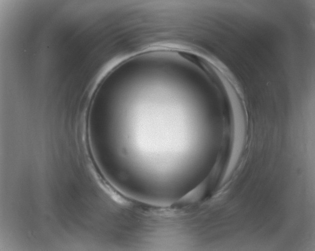 X0000082930862200702011238