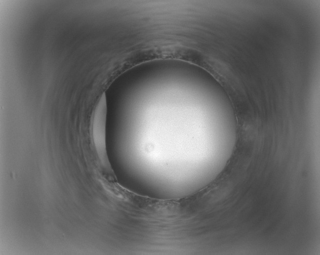 X0000082930865200702011237