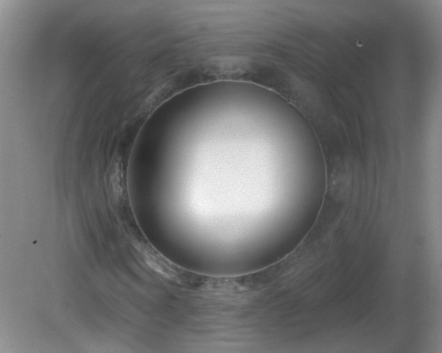 X0000082930866200702011237