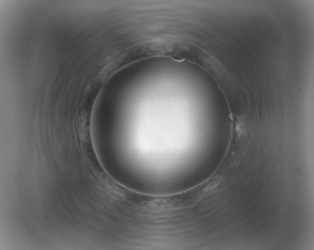 X0000082930867200702011237