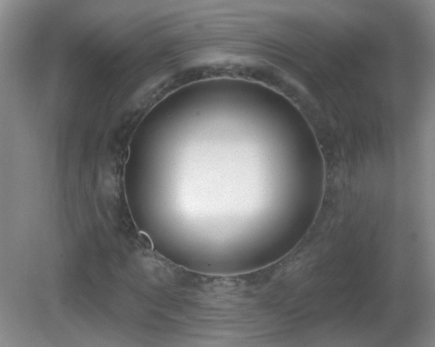 X0000082930869200702011237