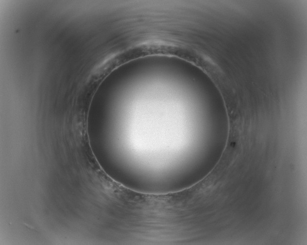 X0000082930870200702011237
