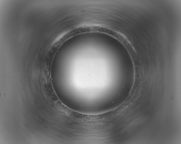 X0000082930871200702011237