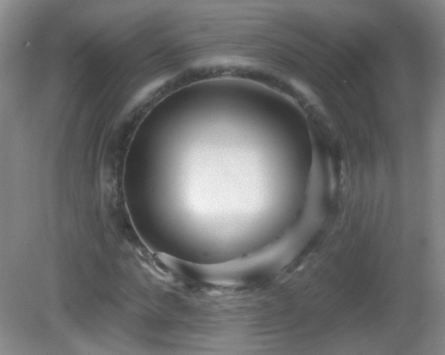 X0000082930872200702011237