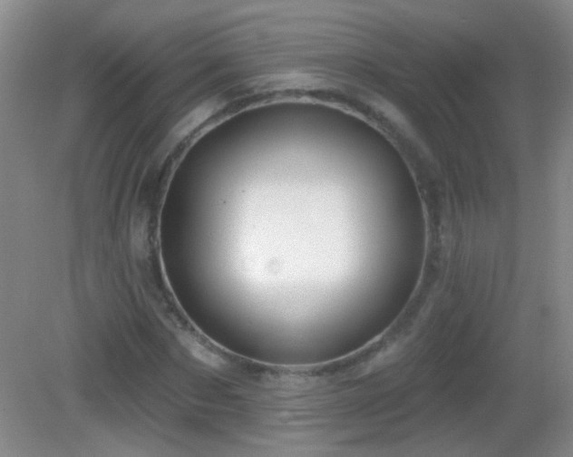 X0000082930873200702011237