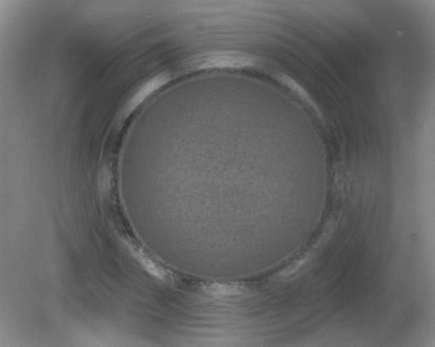 X0000082930874200702011237