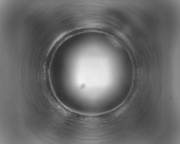 X0000082930875200702011237