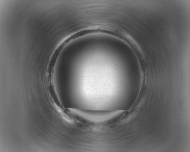 X0000082930876200702011237
