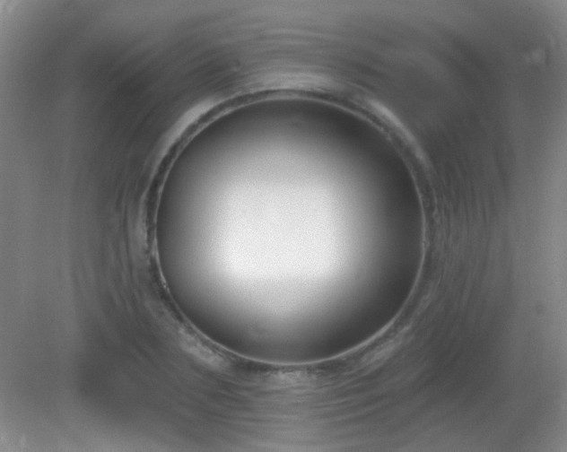 X0000082930883200702011237