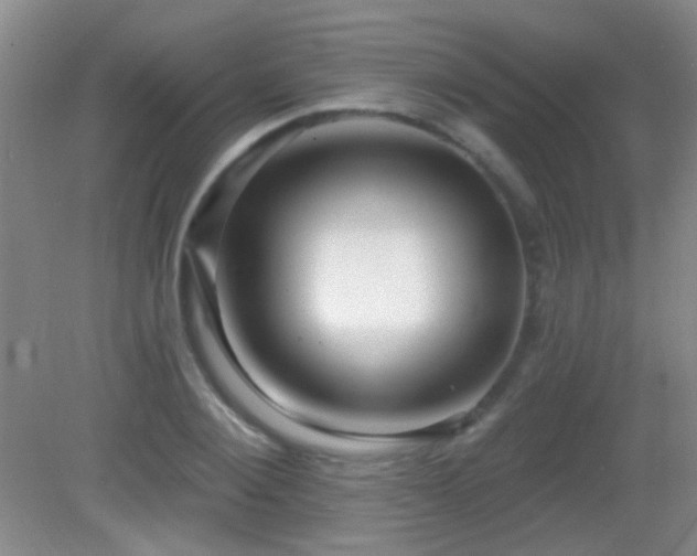 X0000082930884200702011237