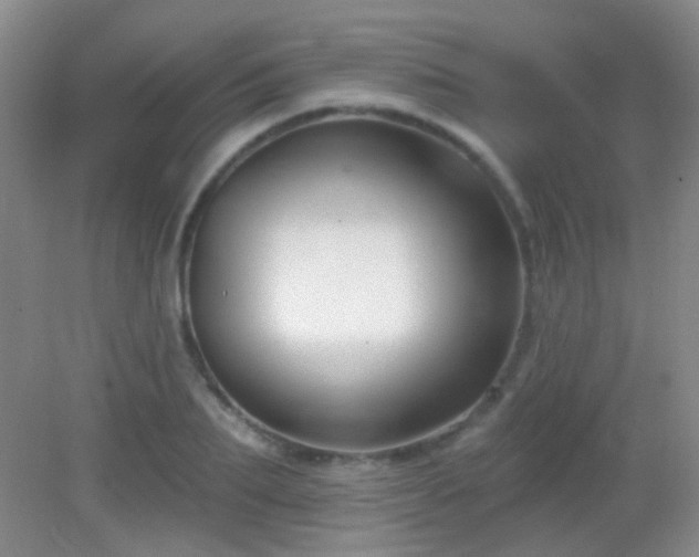 X0000082930887200702011237