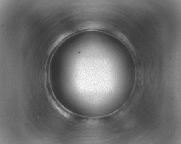 X0000082930890200702011237