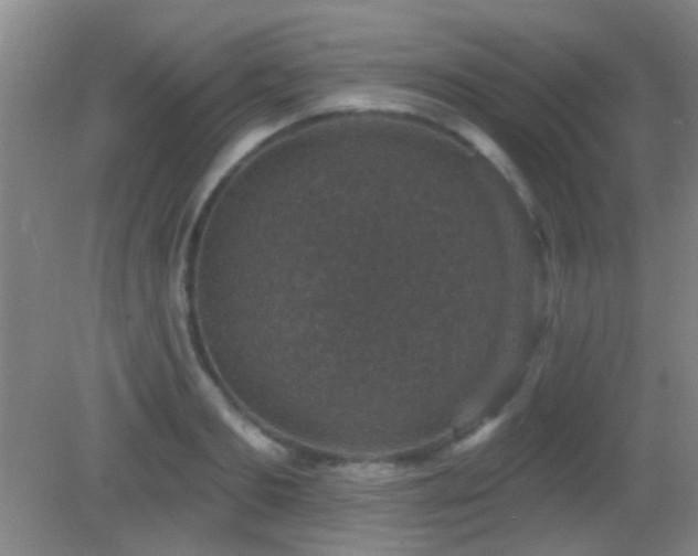 X0000082930893200702011237