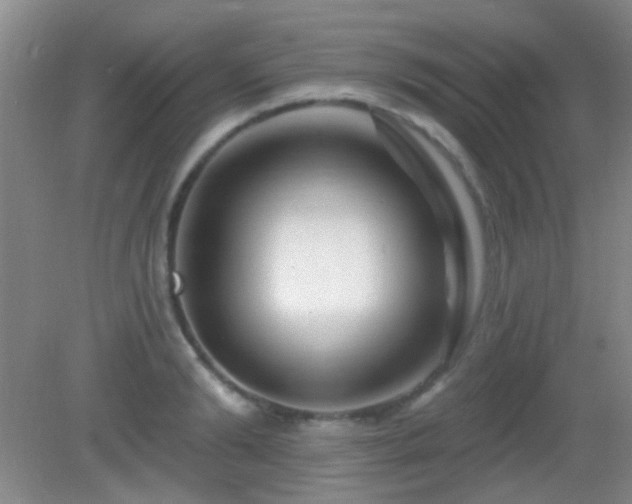 X0000082930894200702011237