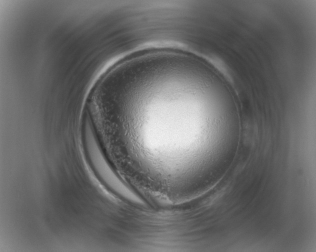 X0000082930895200702011237