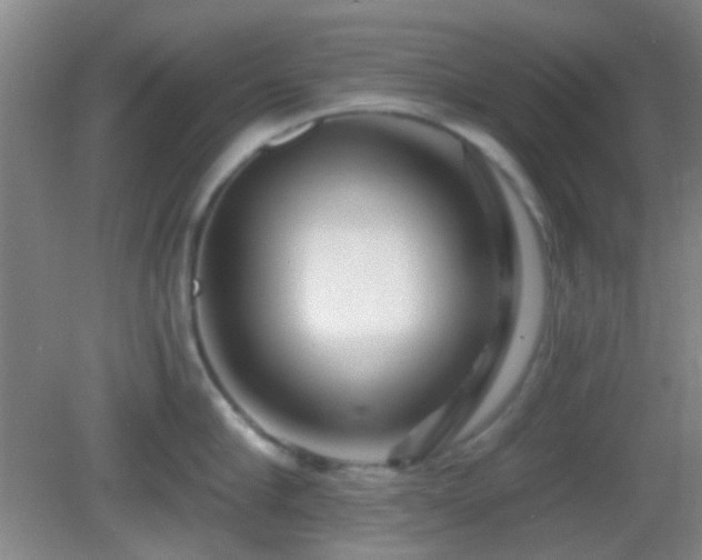 X0000082930910200702011236