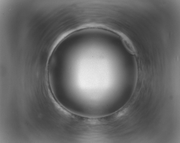 X0000082930911200702011236