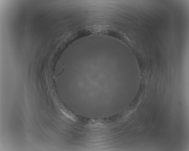 X0000082930913200702011236