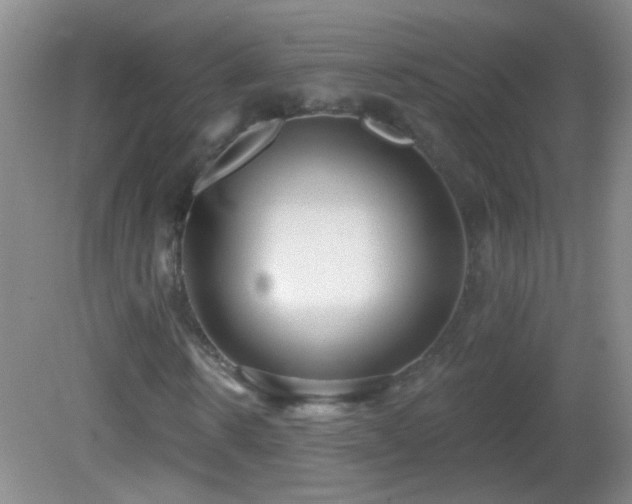 X0000082930914200702011236