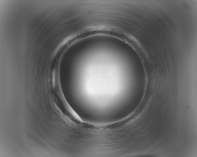 X0000082930922200702011236