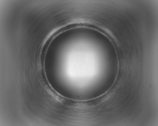 X0000082930927200702011236