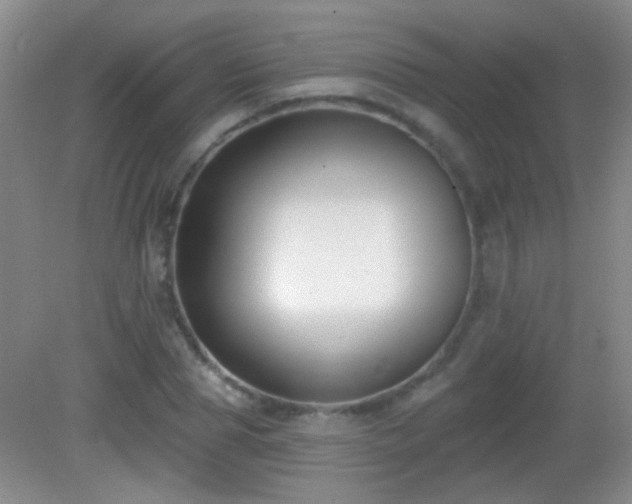 X0000082930929200702011236