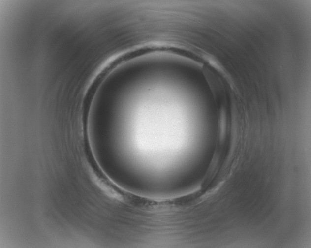 X0000082930934200702011236