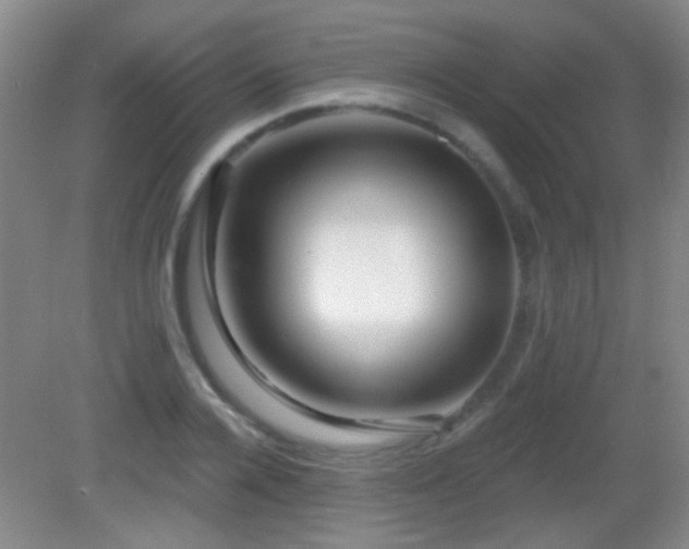 X0000082930936200702011236