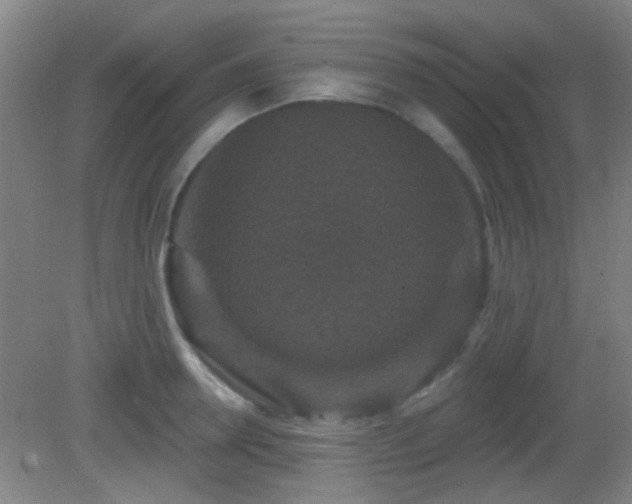 X0000082930946200702011236
