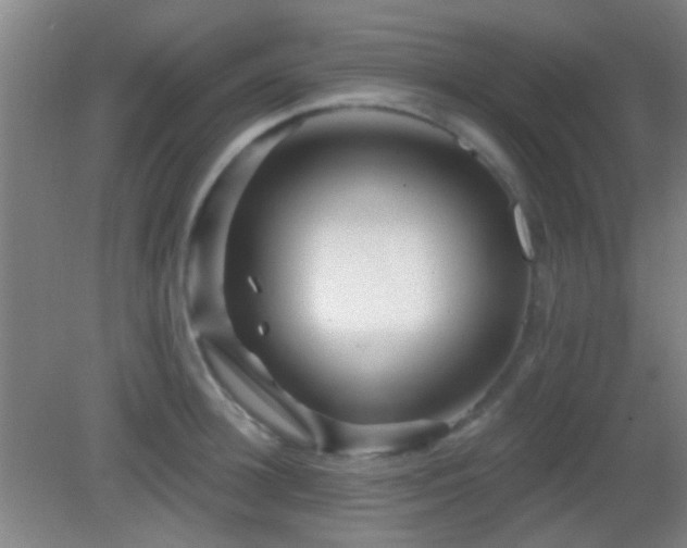 X0000082930948200702011236