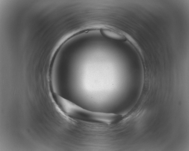 X0000082930951200702011236