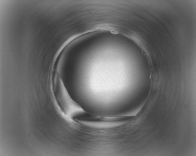 X0000082930955200702011236
