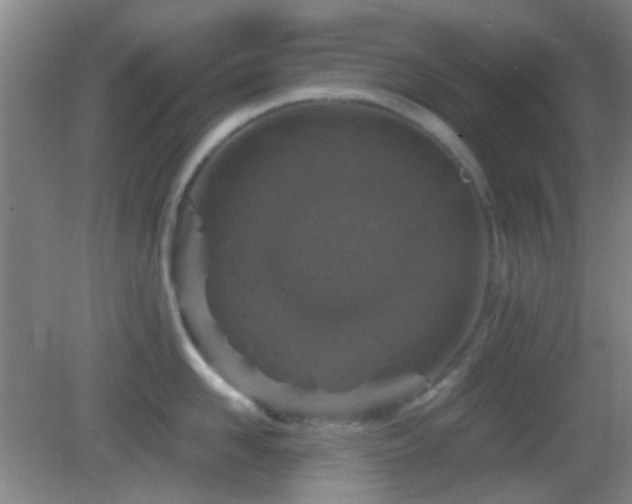 X0000082930958200702011236