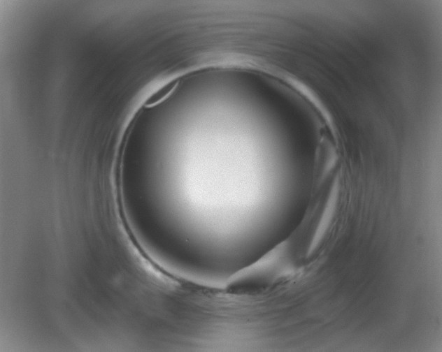 X0000082930959200702011236