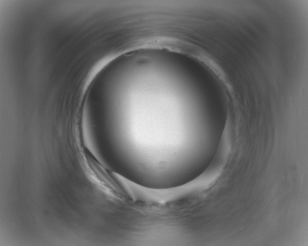 X0000082930960200702011236