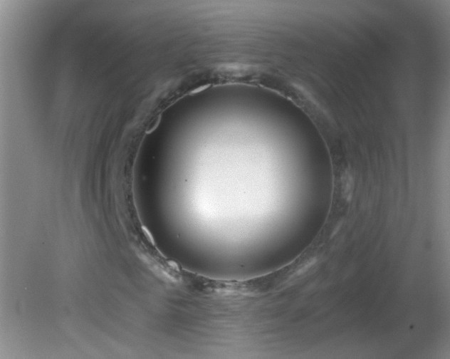 X0000082930961200702011236