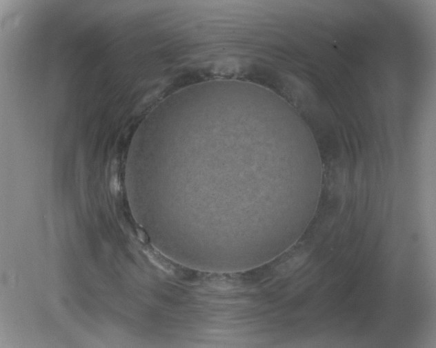 X0000082930962200702011236