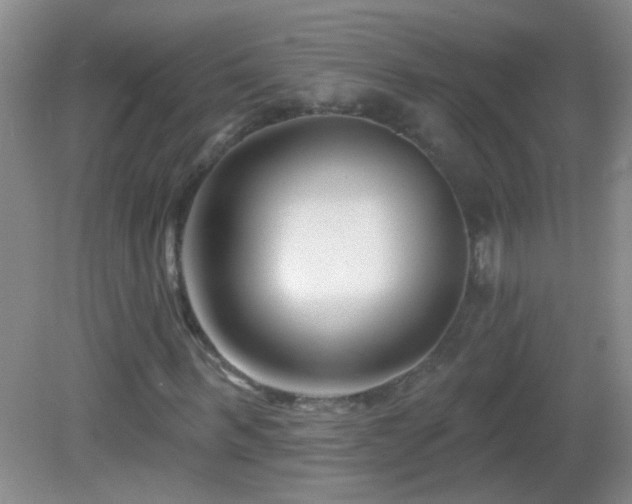 X0000082930963200702011236