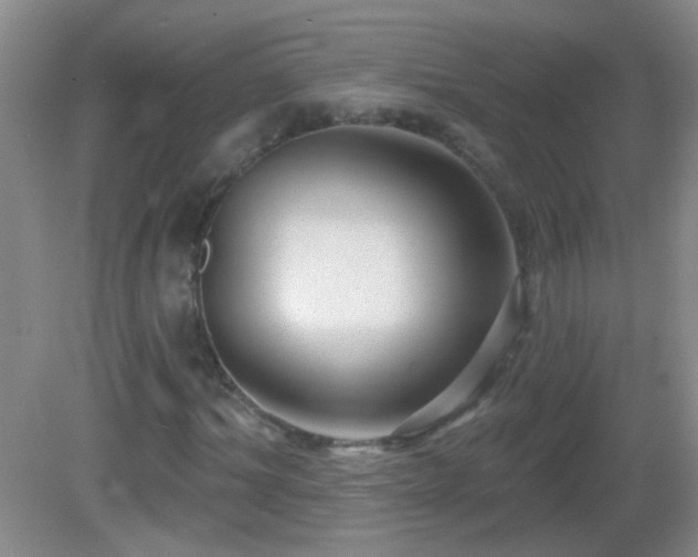 X0000082930964200702011235