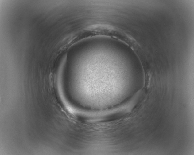 X0000082930965200702011235
