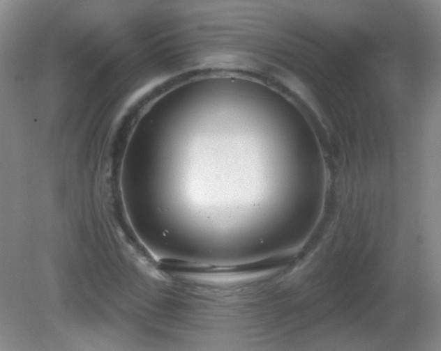 X0000082930971200702011235