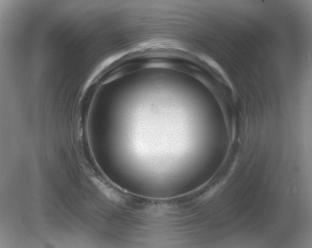 X0000082930973200702011235