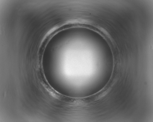 X0000082930974200702011235