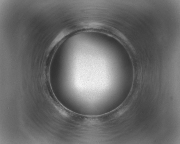 X0000082930978200702011235