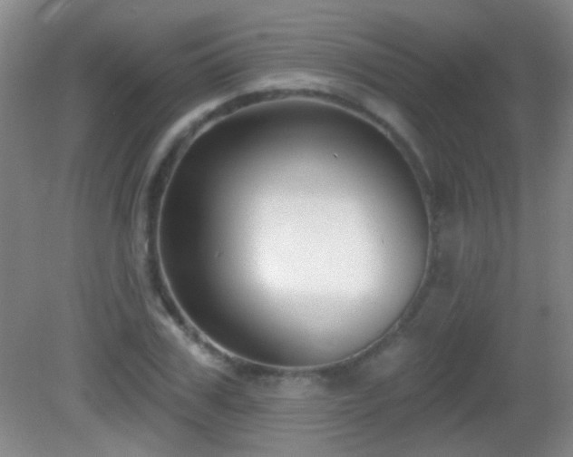 X0000082930979200702011235