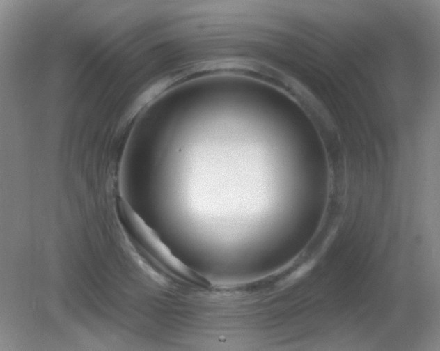 X0000082930985200702011235