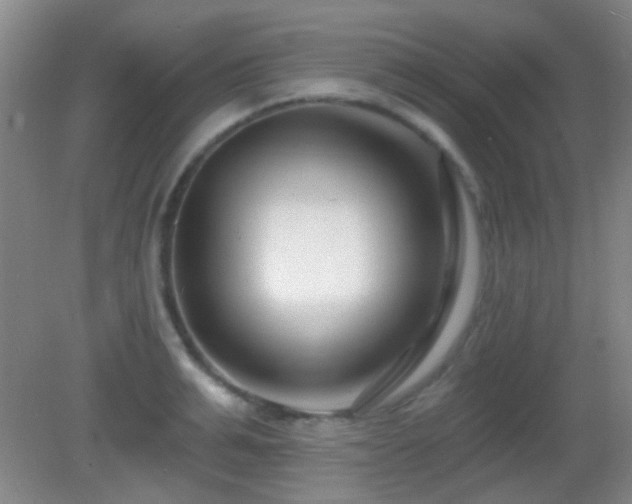 X0000082930991200702011235
