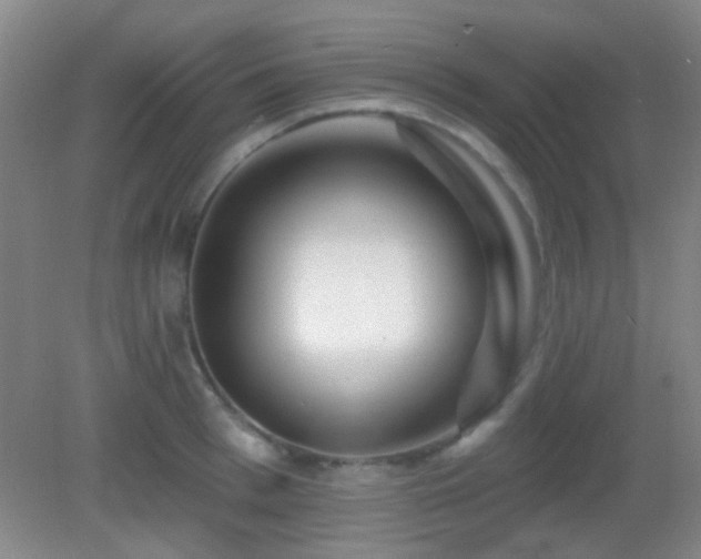 X0000082930993200702011235